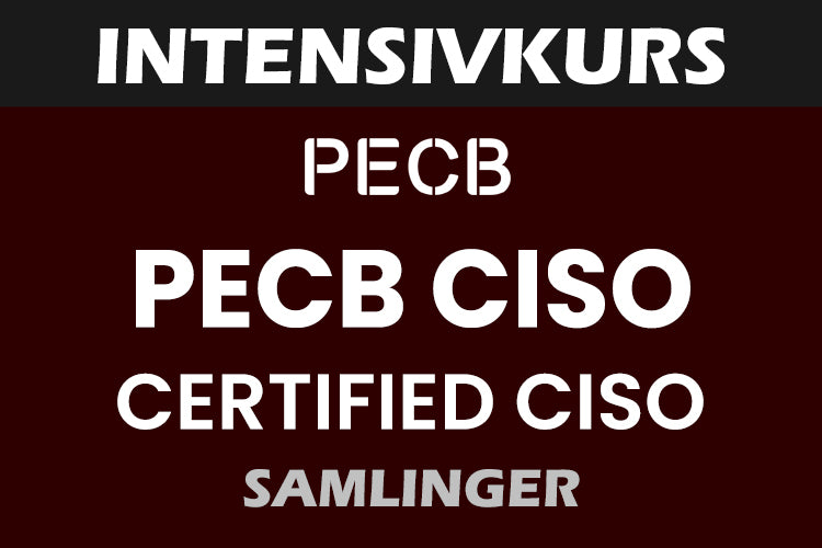 Intensivkurs: PECB Chief Information Security Officer