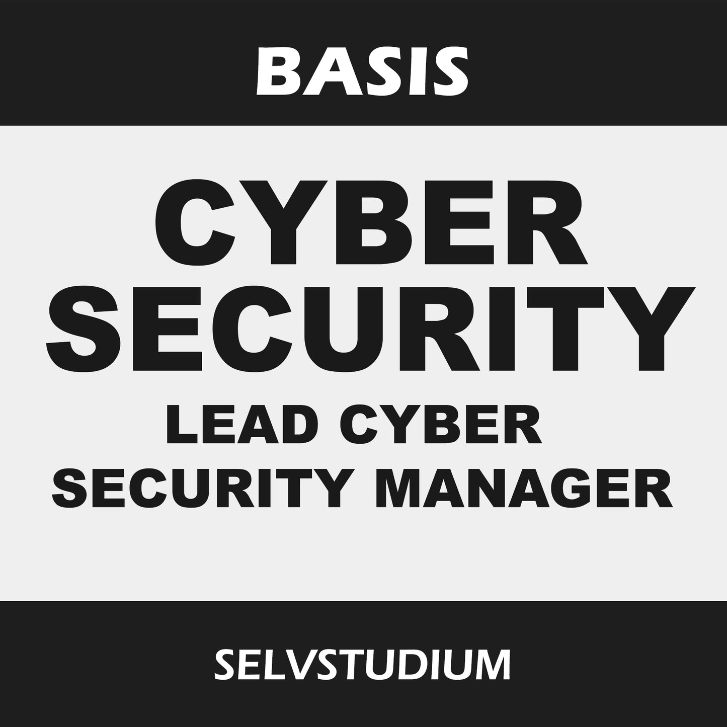 Basis: PECB Lead Cyber Security Manager
