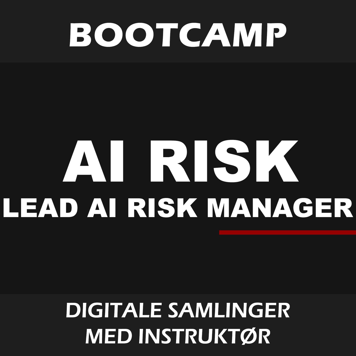 Bootcamp: Lead AI Risk Manager