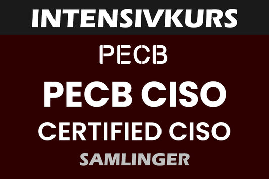 Intensivkurs: PECB Chief Information Security Officer